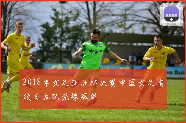 2018年女足亚洲杯决赛中国女足惜败日本队无缘冠军