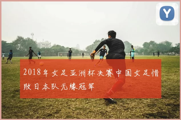 2018年女足亚洲杯决赛中国女足惜败日本队无缘冠军