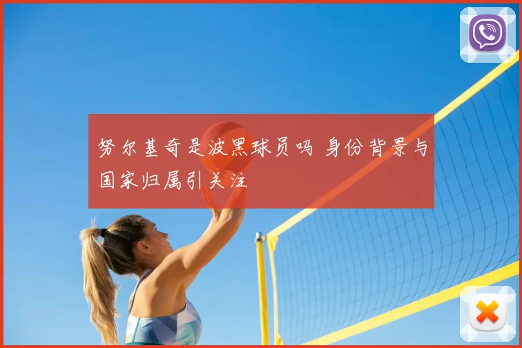 努尔基奇是波黑球员吗 身份背景与国家归属引关注