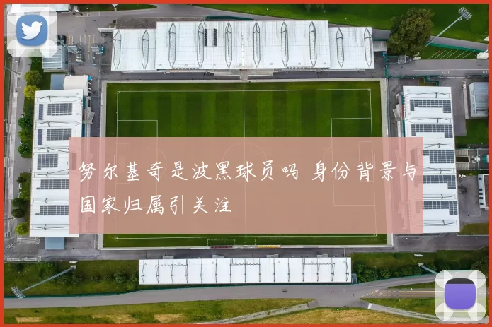 努尔基奇是波黑球员吗 身份背景与国家归属引关注